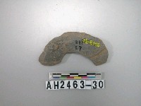 藏品(打製石環殘件)的圖片